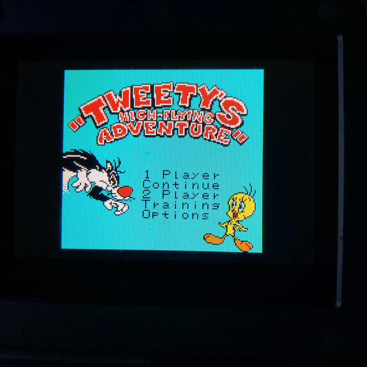 GBC - Tweety's High Flying Adventure Nintendo Gameboy Color Cart Only #2882