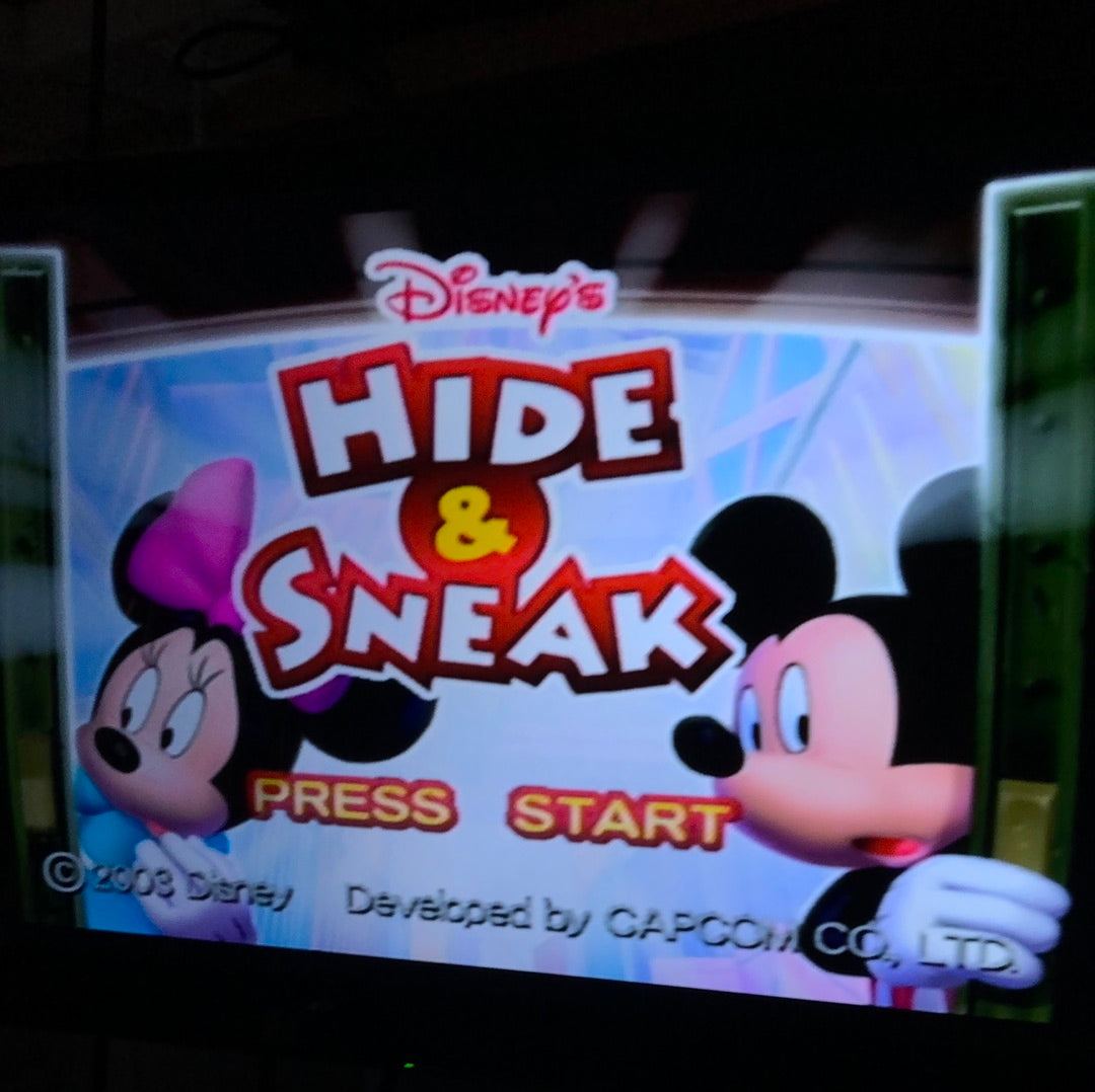 Gamecube - Disney's Hide and Sneak Nintendo Gamecube Complete #881