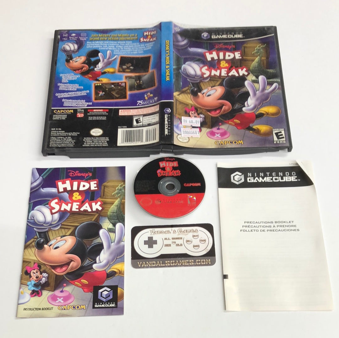 Gamecube - Disney's Hide and Sneak Nintendo Gamecube Complete #881