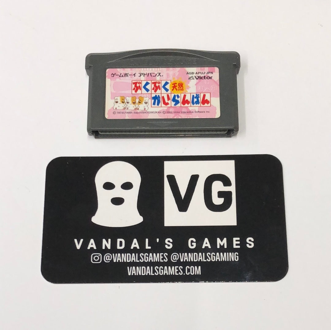 GBA - Puku Puku Tennen Kairanban Nintendo Gameboy Advance Cart Only #1491